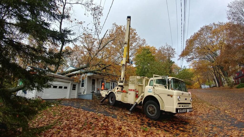 fb img 1768346765394