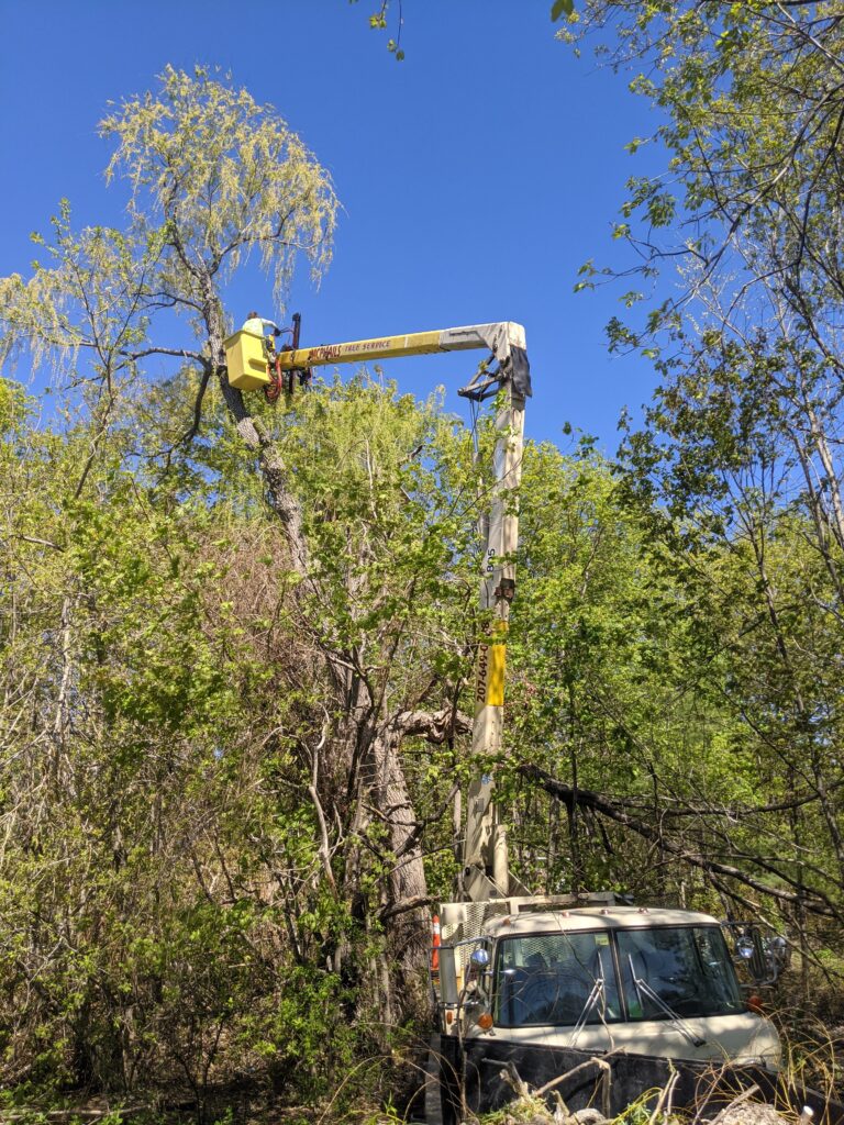 pxl 20210507 135115751 pxl 20210507 135115751