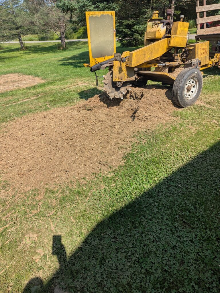 pxl 20250715 141038875.mp